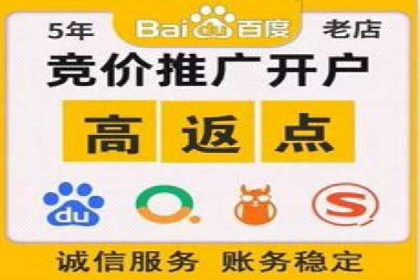 案例解析：专业SEM托管助力企业增长